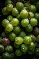 Fresh bunch of green grapes