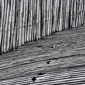 Ombre dans les dunes sur Julienne van Kempen