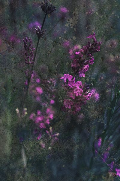 Abstrakte Kunst von Marieke Deinum