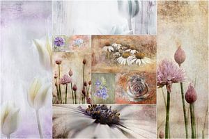 Collage beauties of nature 1 von Claudia Gründler