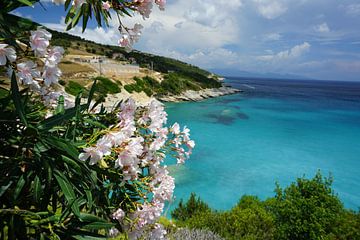 Flowers of Zakynthos by Naomi van Wijngaarden-Knip