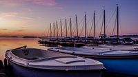 Bateaux dans le petit port de Nieuwkoop