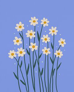 Marguerites simples - pervenche