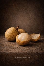 Langsat. Lansium domesticum – Classic Botanical Still Life by Bert Quaedvlieg