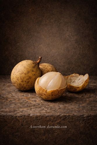 Langsat. Lansium domesticum – Klassiek Botanisch Stilleven