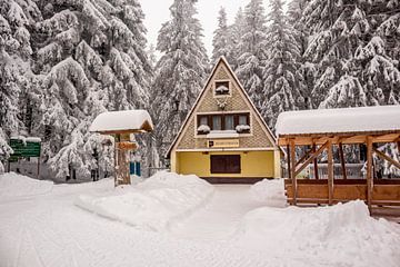 Kleine Winterwanderung im verschneiten Thüringer Wald bei Floh-Seligenthal - Thüringen - Deutschland von Oliver Hlavaty