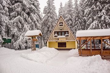 Petite randonnée hivernale dans la forêt enneigée de Thuringe près de Floh-Seligenthal - Thuringe - Allemagne sur Oliver Hlavaty