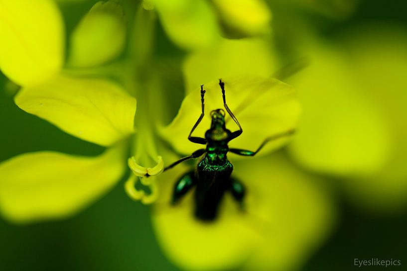 small and wonderfull by dieter provoost