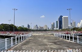 Der Lumphini Park in der thailändischen Großstadt Bangkok von David Esser