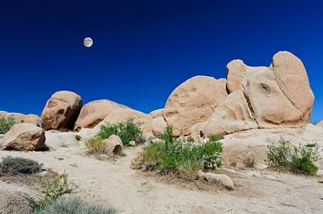 Desert Moon by Denis Feiner