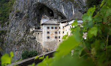 Predjama kasteel Slovenië van Tomas Woppenkamp