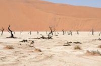 Deadvlei Namibië