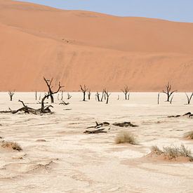 Deadvlei Namibië by Maurits Kuiper