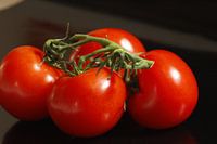 Tomaten