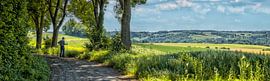 Un vieil homme accompagné de son petit chien contemple le paysage vallonné du Limbourg méridional