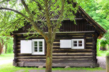 Spreewaldhaus SOFT von Ingo Laue