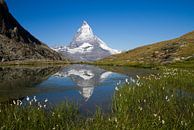 De Matterhorn spiegelend in de Riffelsee in het prachtige Zwitserland von Paul Wendels Miniaturansicht