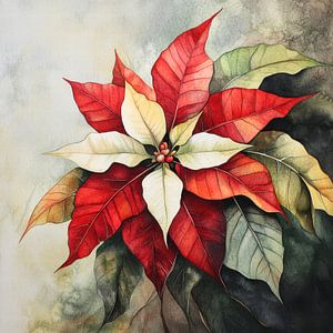 Étoile de Noël
