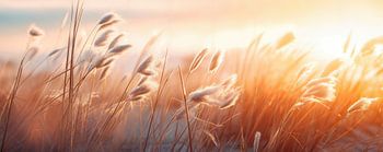 Strand Indrukken Nr 14