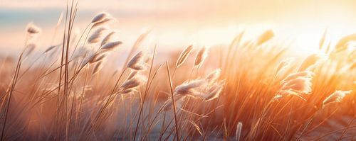 Impressions de plage No 14