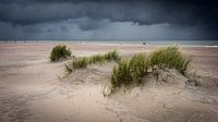 storm aan zee van rob creemers thumbnail