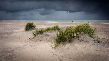 tempête en mer sur rob creemers