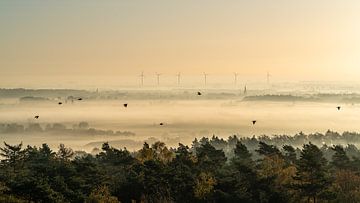 Blick auf den Sonnenaufgang an einem nebligen Morgen in Montferland von Jeroen Kleiberg