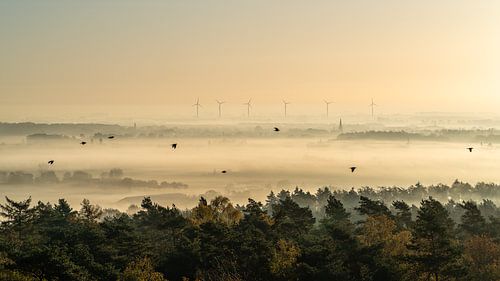 Zonsopgang zicht op een mistige ochtend in Montferland