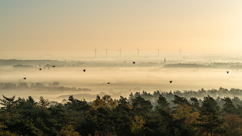 Mist en windmolens bij zonsopgang in Montferland