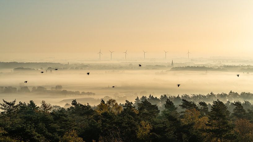 Sunrise view on an foggy morning in Montferland by Jeroen Kleiberg