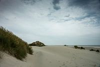 Duinen van Terschelling