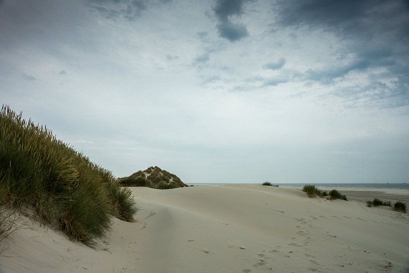 Duinen van Terschelling von Jan Peter Mulder