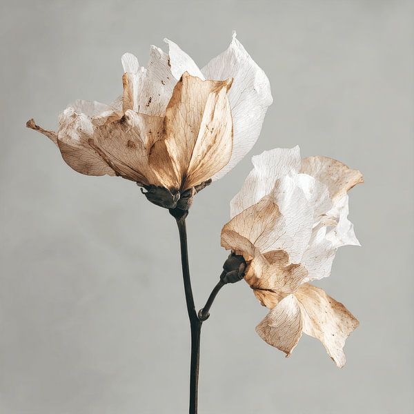 Wilted Flowers in Silent Life Perishable Beauty by Eva Lee