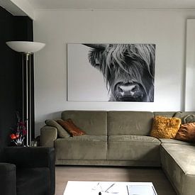 Customer photo: Portrait Scottish Highlander black and white by Sandra van Kampen, on canvas