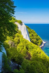 An der Küste der Ostsee auf der Insel Rügen