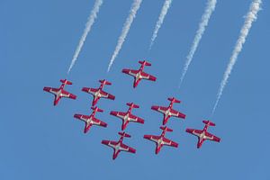 Snowbirds der kanadischen Streitkräfte.