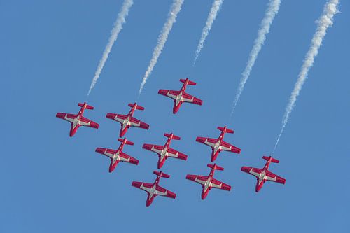 Les Snowbirds des Forces armées canadiennes.