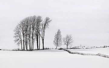 Bomen en hek onder een dikke sneeuwlaag van Adelheid Smitt