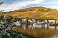 Bernkastel-Kues aan de Moezel