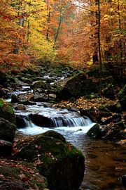 Ilsetal in autumn foliage 2