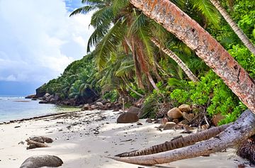 Droom stand op de Seychellen
