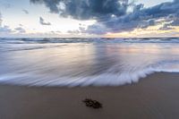 seascape II