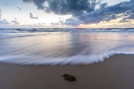 seascape II von Arjan Keers