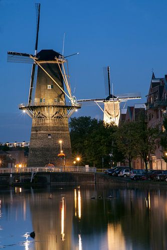 Schiedam, Molen de Noord en de Nieuwe Palmboom