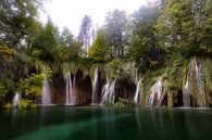 Wonderland in Plitvice van Roy Poots thumbnail