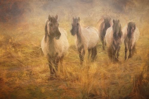 herd of konik horses by eric van der eijk