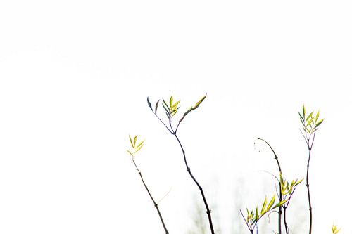 de lente komt er aan!