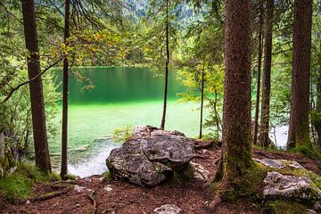 Der Hintersee in Ramsau im Berchtesgadener Land von Rico Ködder