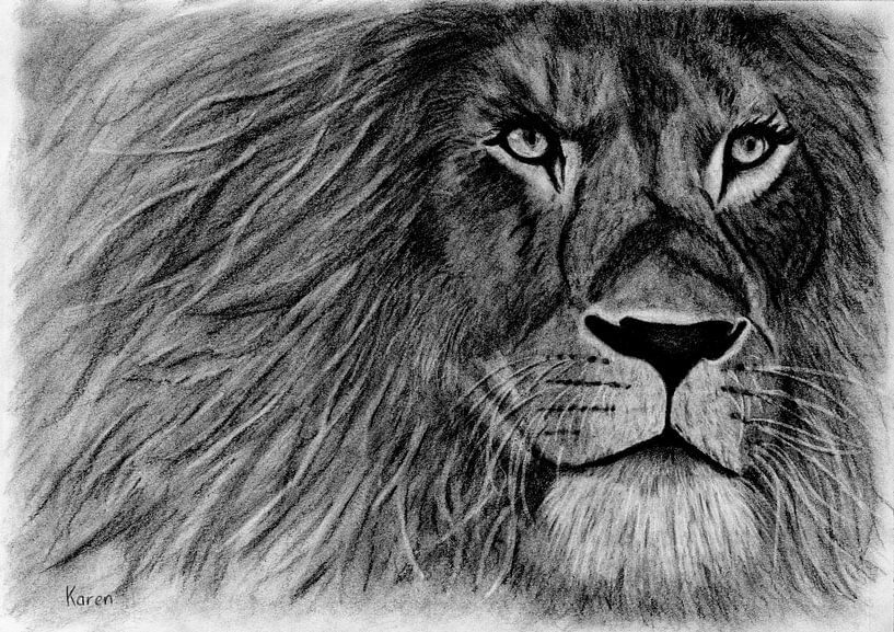 Lion portrait charcoal drawing by Karen van Gerner