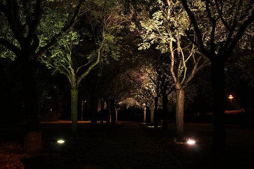 park bij nacht